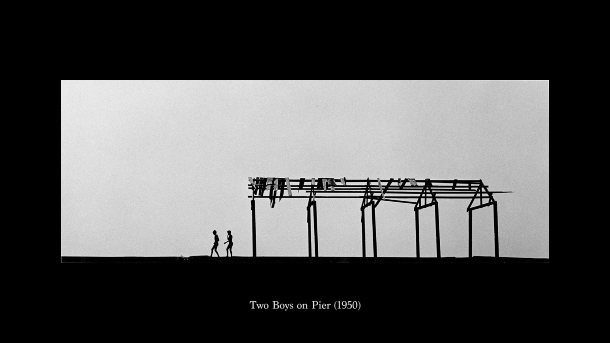 Harold Feinstein